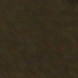 Moss Brown - EC42