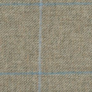 19017 – Light Green with blue and  aqua check