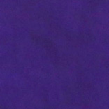 Purple - S42