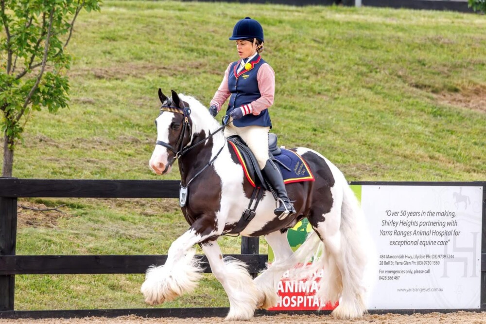 Customise your own HRCAV Riding Vest