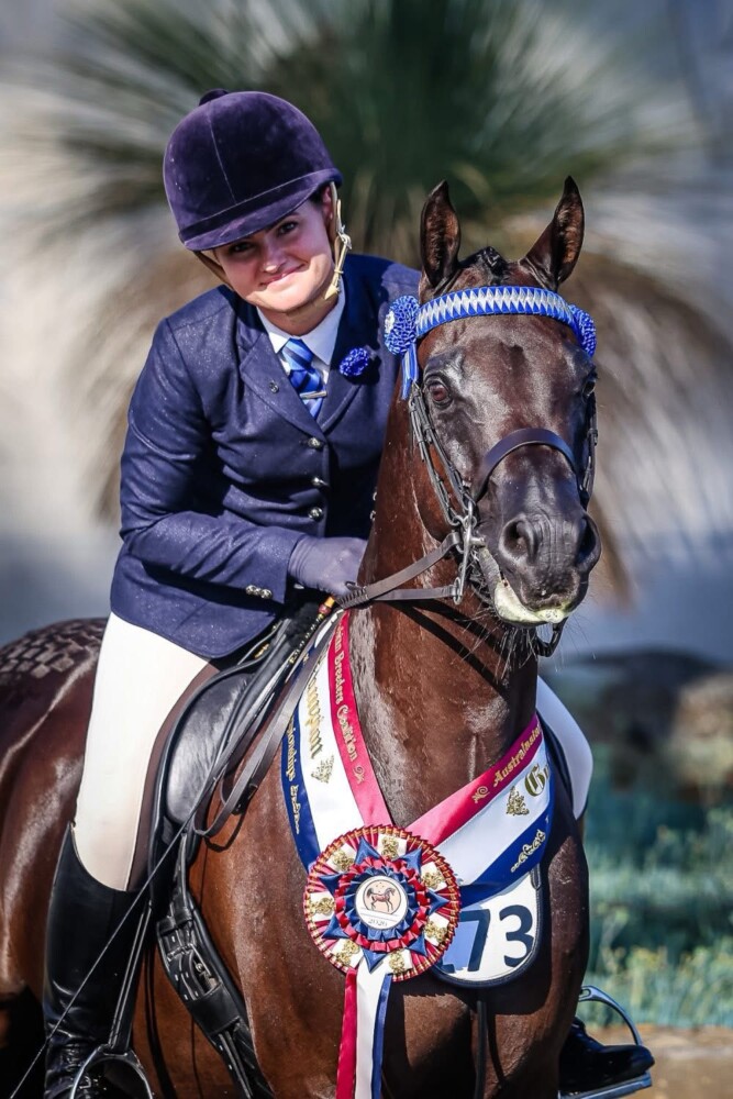 Navy Shimmer Jacket/Velvet Trim