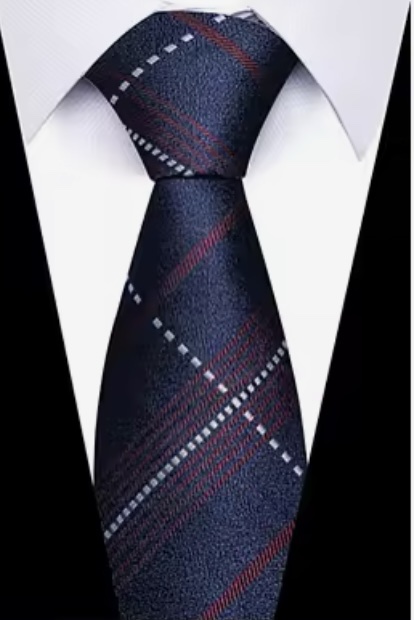 Navy Plaid Tie